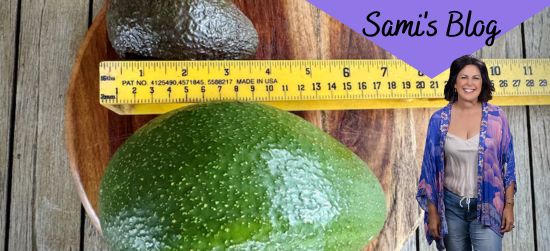 Sami’s Blog: Avocados